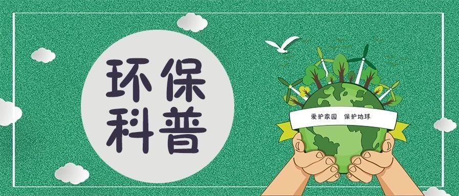 【科普九】大家挂在嘴边的“环保管家”到底是什么呢