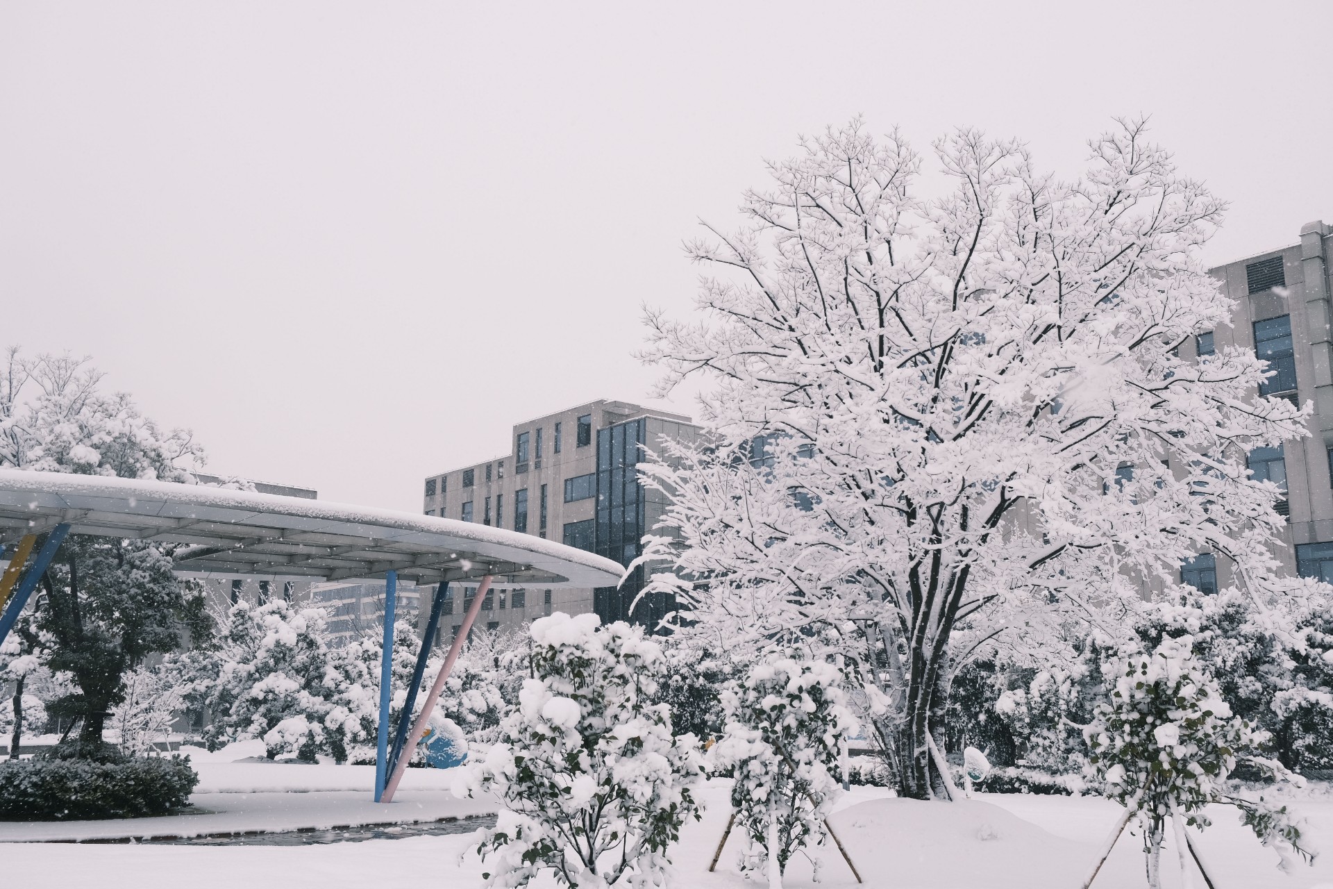 遇见初雪 | 寻觅凛冬中的如诗画卷